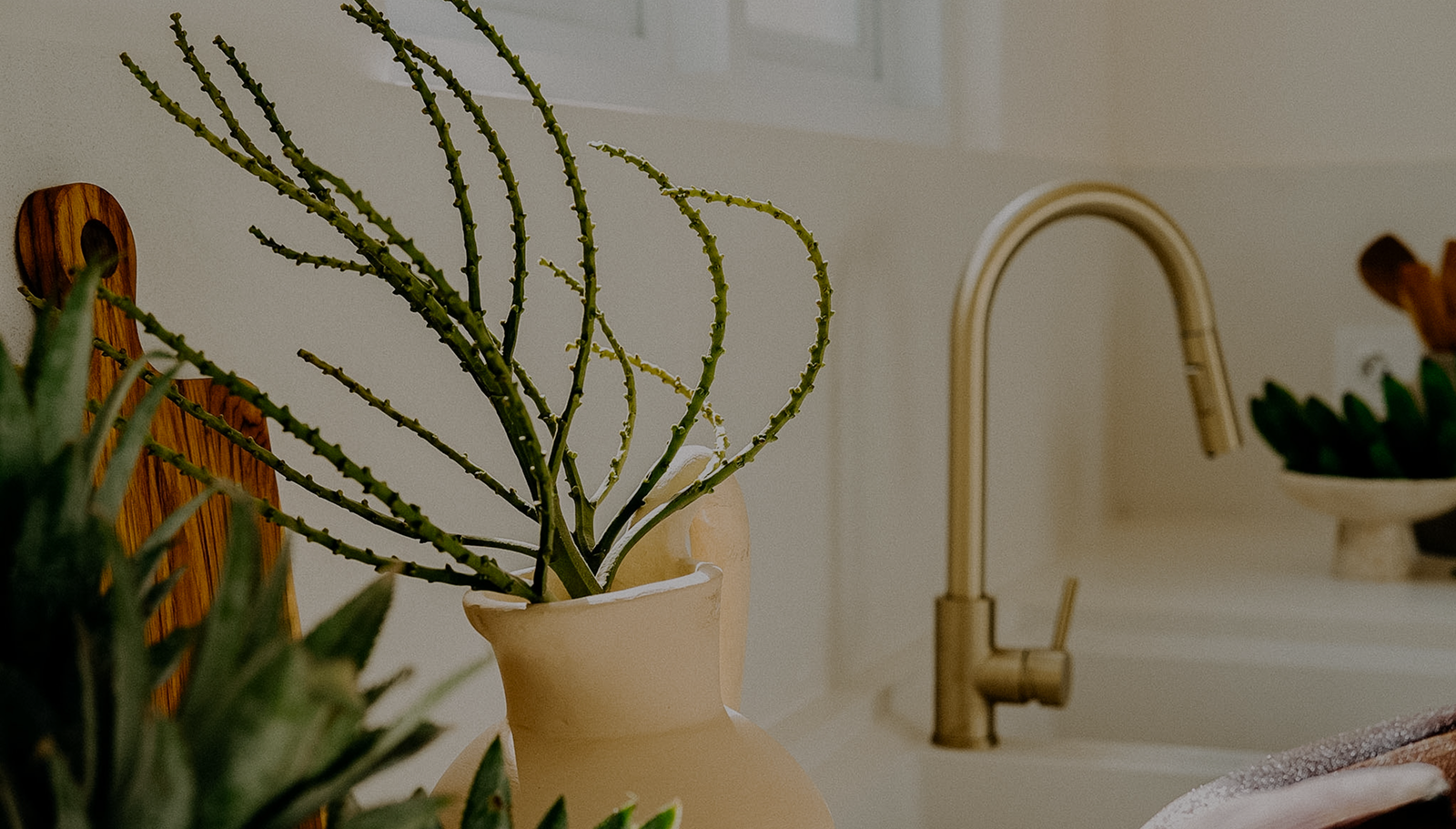 Mazari investment interior environment