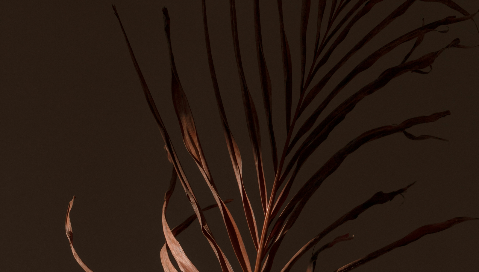 Private Secure Reporting Portal